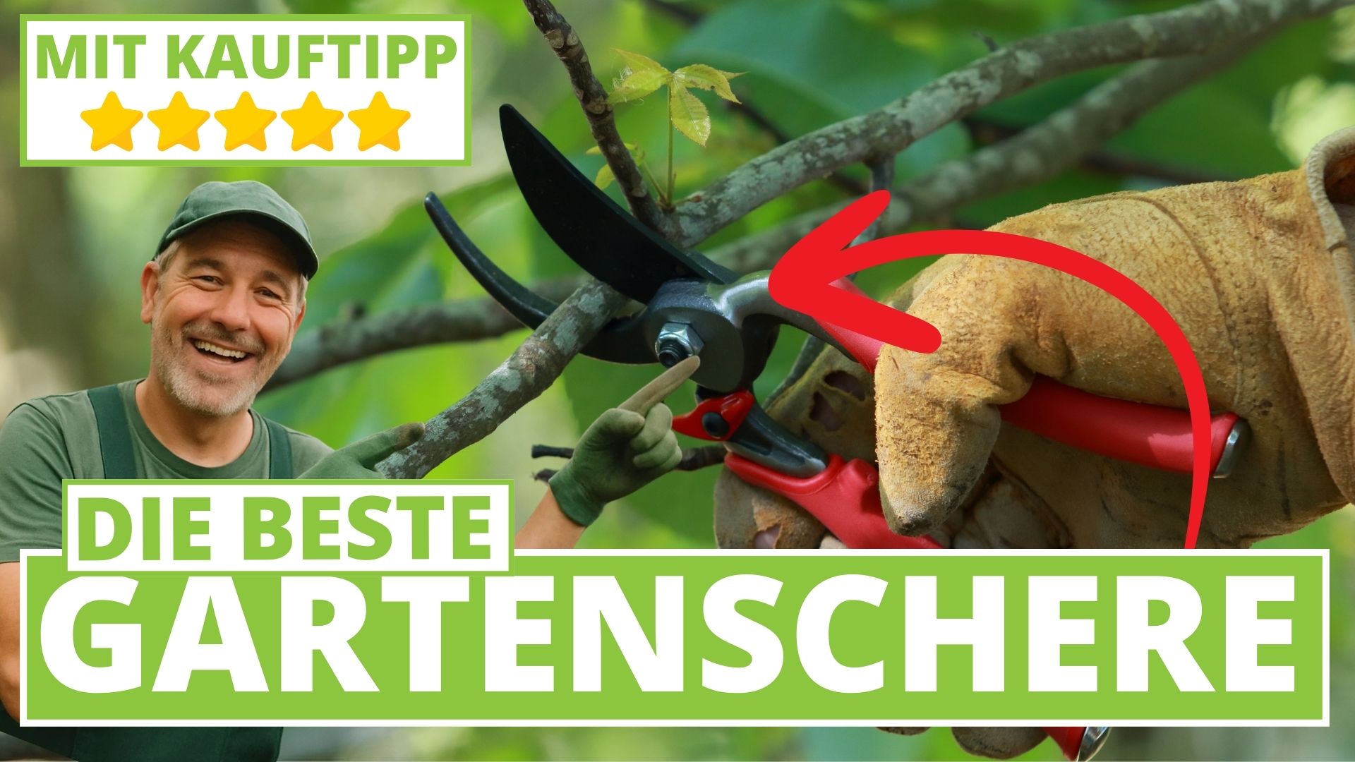 Beste Gartenschere 2025 – Test & Vergleich